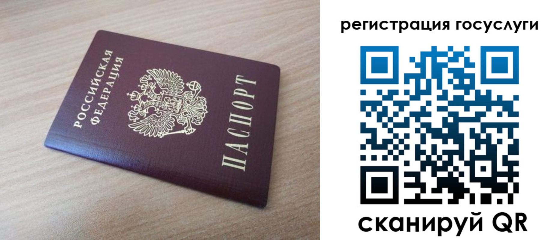 прописка гарантия в Жукове