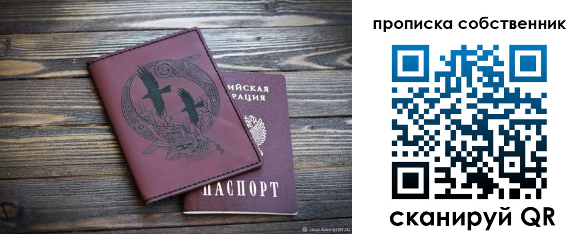 прописка в Жукове